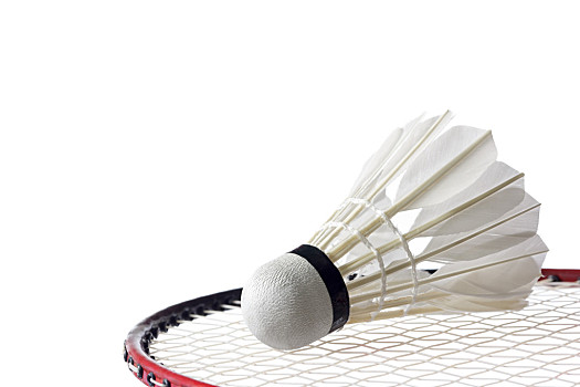 为球队创造 为球队创造